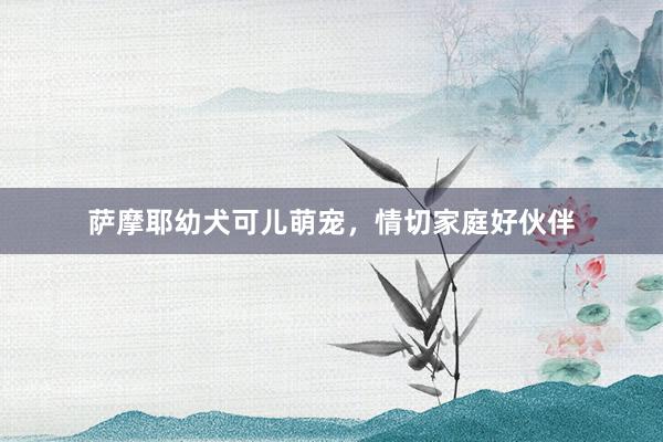 萨摩耶幼犬可儿萌宠，情切家庭好伙伴