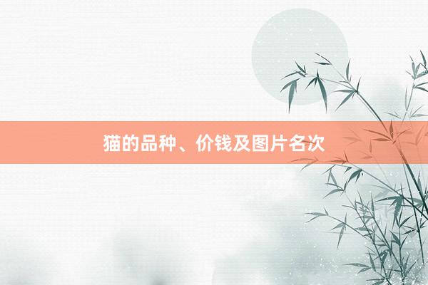 猫的品种、价钱及图片名次